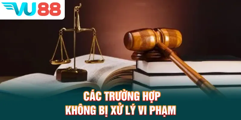 Các trường hợp không bị xử lý vi phạm