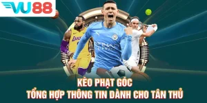 Kèo Phạt Góc - Tổng Hợp Thông Tin Dành Cho Tân Thủ