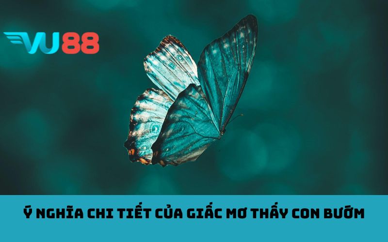 Ý nghĩa chi tiết của giấc mơ thấy con bướm