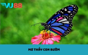 Mơ thấy con bướm