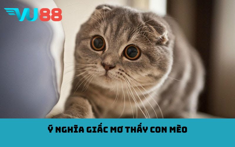 Ý nghĩa giấc mơ thấy con mèo