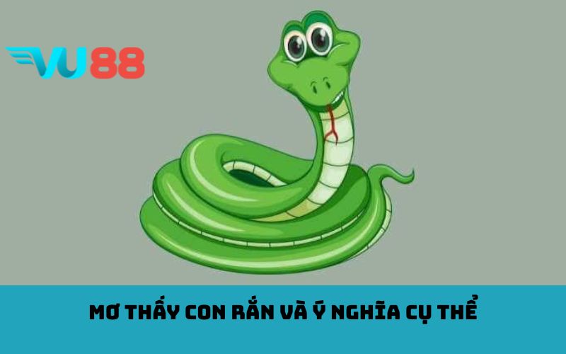 Mơ thấy con rắn và ý nghĩa cụ thể