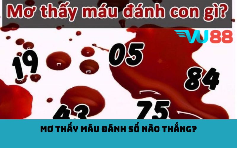 Mơ thấy máu đánh số nào thắng?