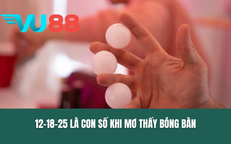 12-18-25 là con số khi mơ thấy bóng bàn