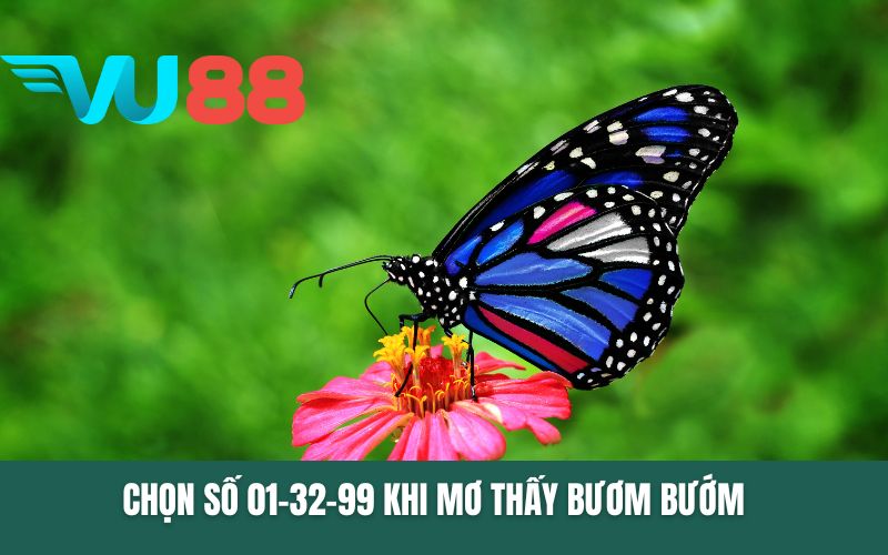 Chọn số 01-32-99 khi mơ thấy bươm bướm