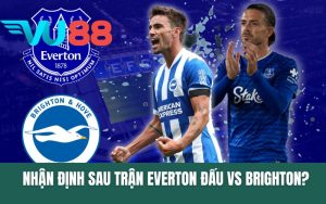 Nhận Định Sau Trận Everton Đấu Với Brighton? Đánh Giá Về Đội Hình