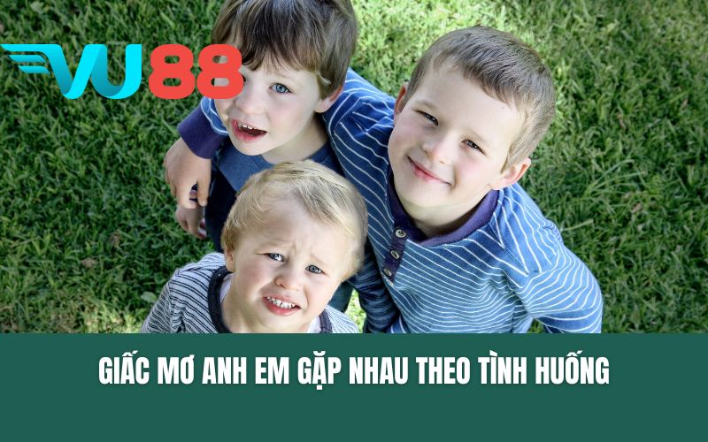 Tìm hiểu những giấc mơ anh em gặp nhau theo tình huống