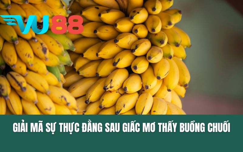 Giải mã sự thực đằng sau giấc mơ thấy buồng chuối
