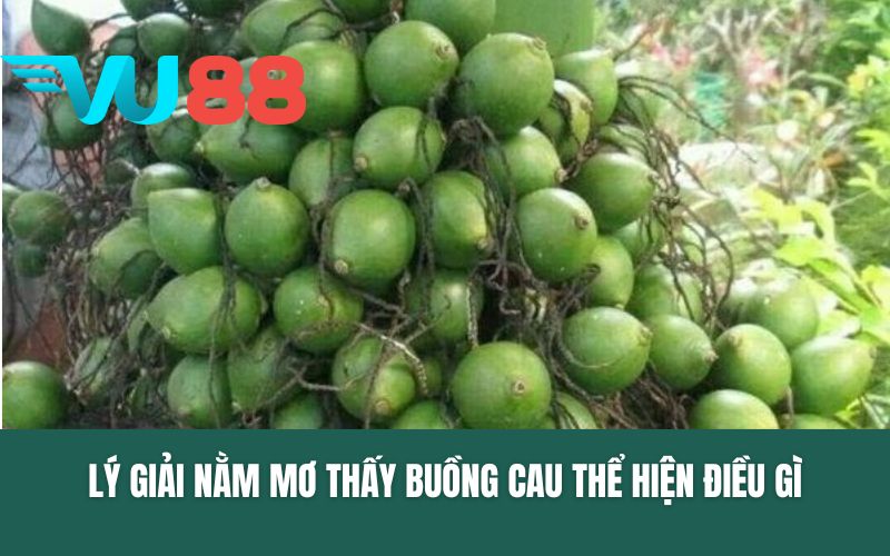 Lý giải nằm mơ thấy buồng cau thể hiện điều gì