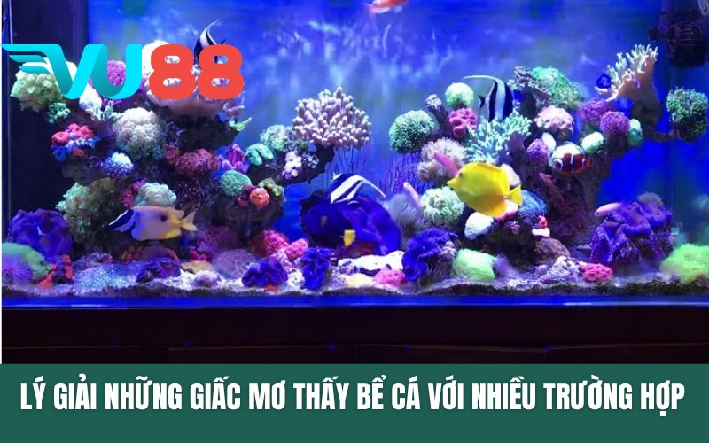Lý giải những giấc mơ thấy bể cá với nhiều trường hợp khác nhau