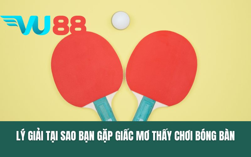 Lý giải tại sao bạn gặp giấc mơ thấy chơi bóng bàn