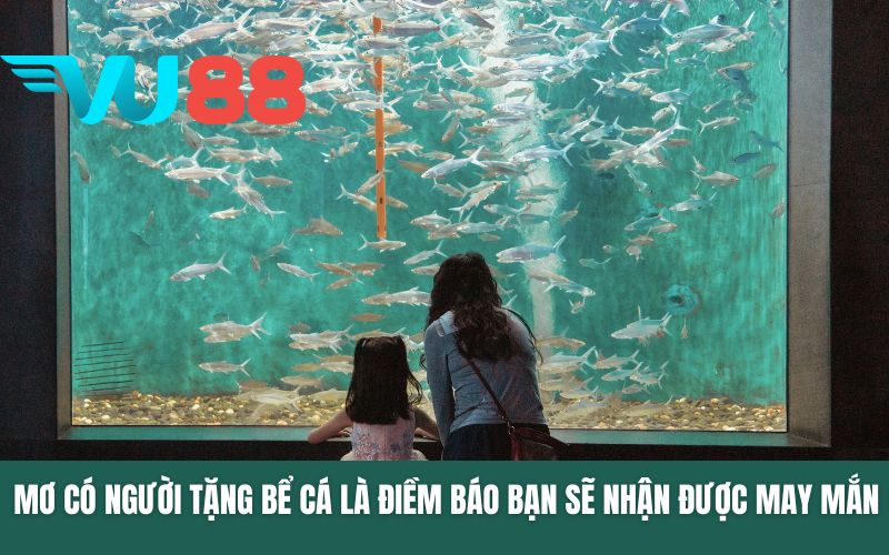 Mơ có người tặng bể cá là điềm báo sắp nhận được may mắn