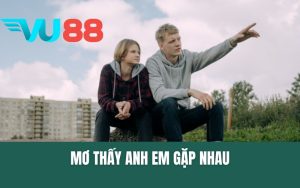 Mơ Thấy Anh Em Gặp Nhau Điềm Báo Tương Lai, Hóa Giải Vận Xui?