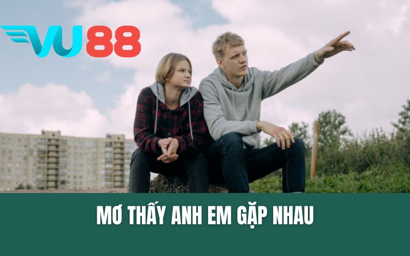 Mơ Thấy Anh Em Gặp Nhau Điềm Báo Tương Lai, Hóa Giải Vận Xui?