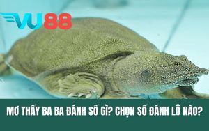Mơ Thấy Ba Ba Đánh Số Gì? Chọn Số Đánh Lô Nào?