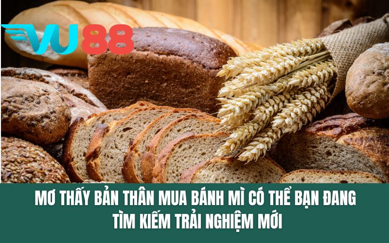 Mơ thấy bản thân mua bánh mì có thể bạn đang tìm kiếm trải nghiệm mới