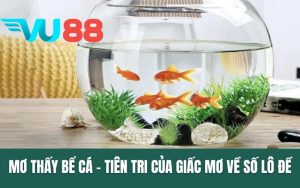 Mơ Thấy Bể Cá - Tiên Tri Của Giấc Mơ Về Số Lô Đề