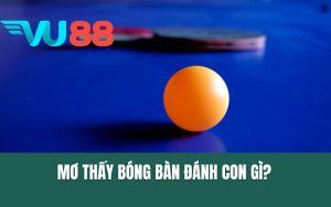 Mơ Thấy Bóng Bàn Đánh Con Gì?
