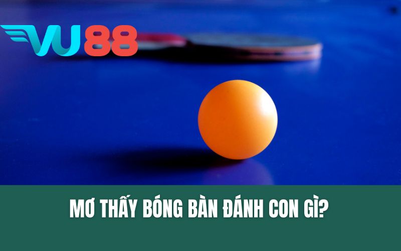 Mơ Thấy Bóng Bàn Đánh Con Gì?