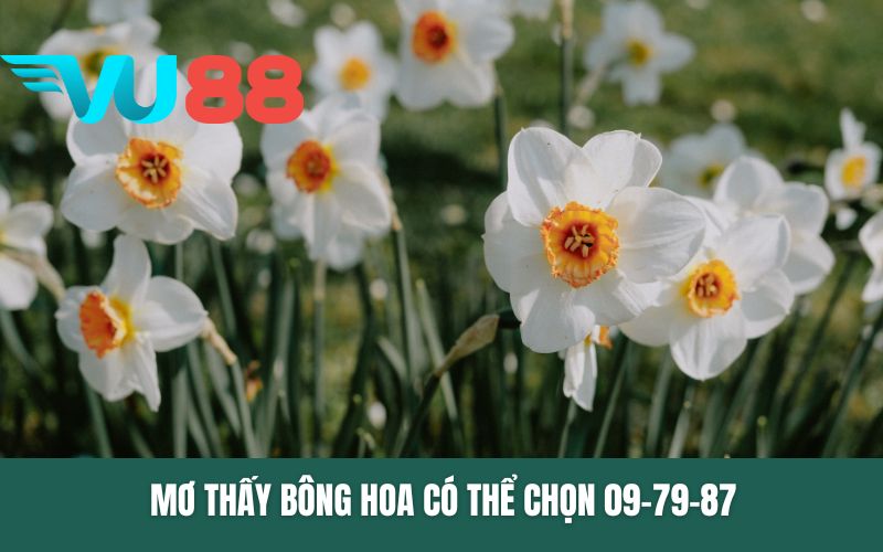 Mơ thấy bông hoa có thể chọn 09-79-87