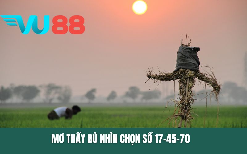 Mơ thấy bù nhìn chọn số 17-45-70
