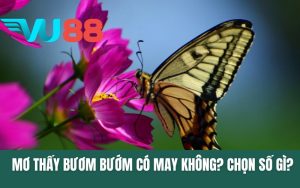 Mơ Thấy Bươm Bướm Có May Không? Chọn Số Gì?