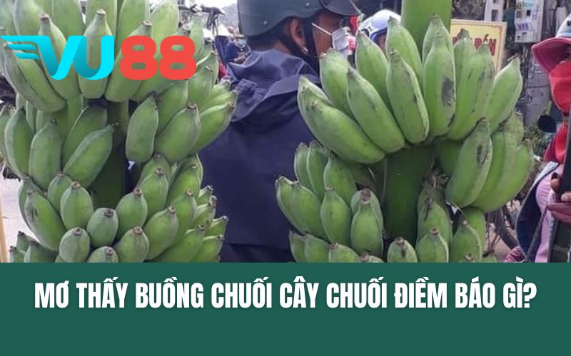 Mơ Thấy Buồng Chuối Cây Chuối Điềm Báo Gì?
