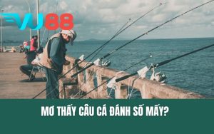 Mơ Thấy Câu Cá Đánh Số Mấy? Giải Mã Giấc Mơ Và Điềm Báo