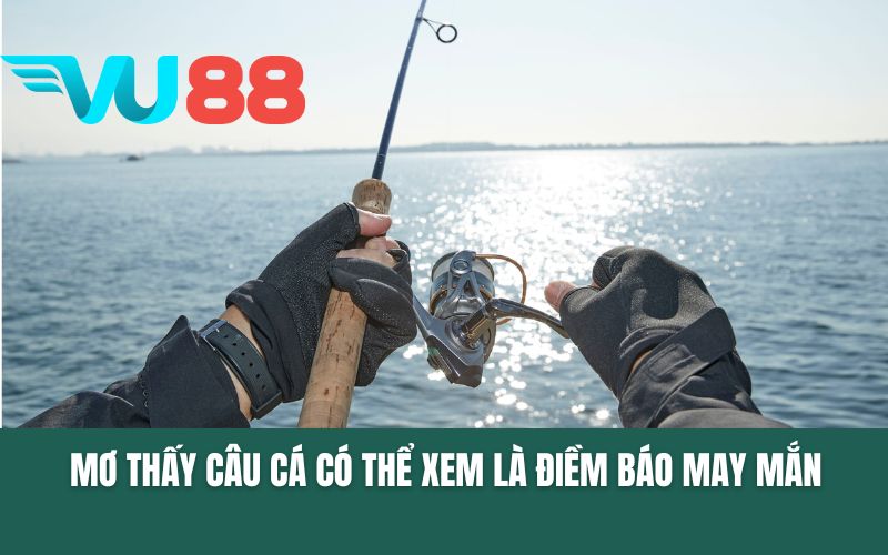 Mơ thấy câu cá có thể xem là điềm báo may mắn
