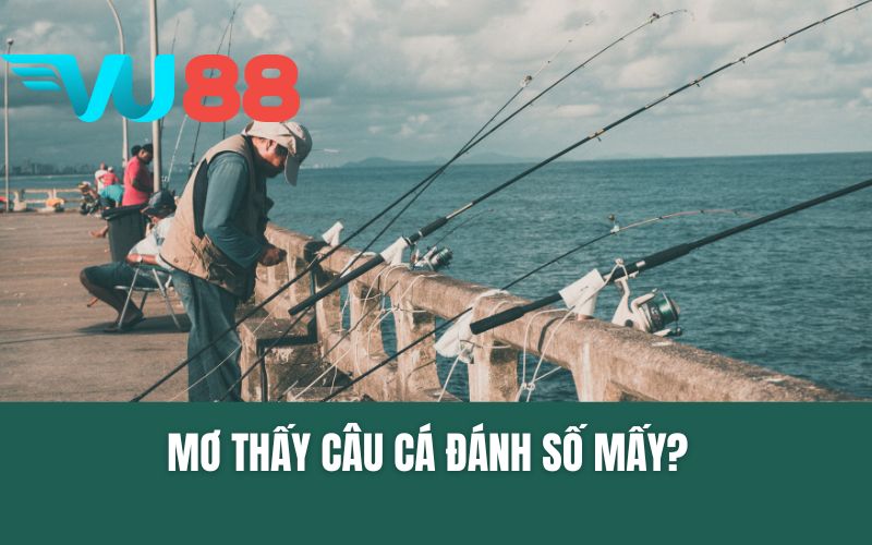 Mơ Thấy Câu Cá Đánh Số Mấy? Giải Mã Giấc Mơ Và Điềm Báo