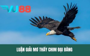Luận Giải Mơ Thấy Chim Đại Bàng Và Con Số Lô Đề Tốt Nhất