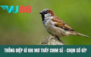 Thông Điệp Gì Khi Mơ Thấy Chim Sẻ - Chọn Số Gì?