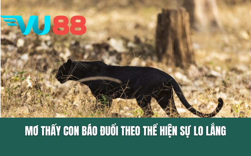 Mơ thấy con báo đuổi theo mình thể hiện sự lo lắng