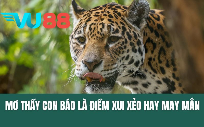 Mơ Thấy Con Báo - Hướng Dẫn Giải Mã & Chọn Số Tài Lộc