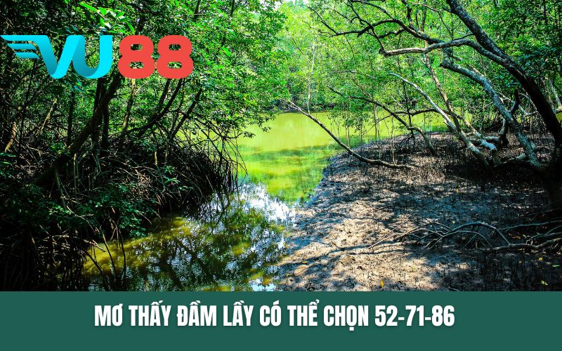 Mơ thấy đầm lầy có thể chọn 52-71-86