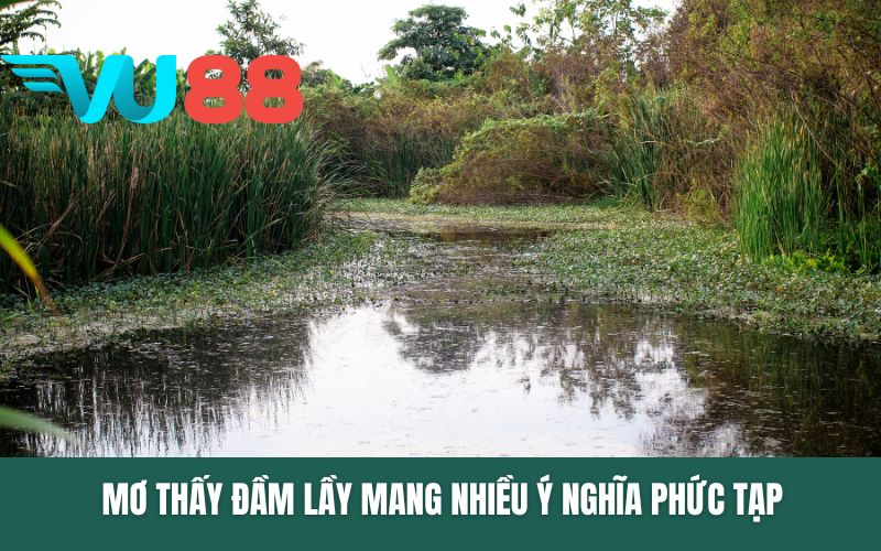 Mơ thấy đầm lầy mang nhiều ý nghĩa phức tạp