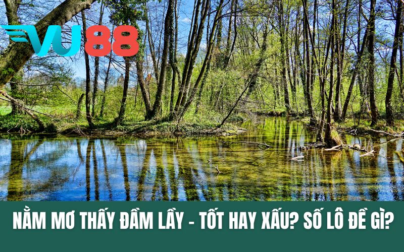 Nằm Mơ Thấy Đầm Lầy - Tốt Hay Xấu? Số Lô Đề Nên Đánh