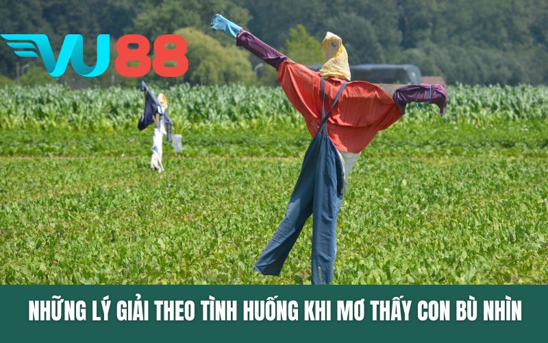 Những lý giải theo tình huống khi mơ thấy con bù nhìn