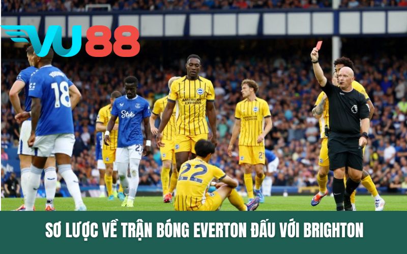 Sơ lược về trận bóng Everton đấu với Brighton
