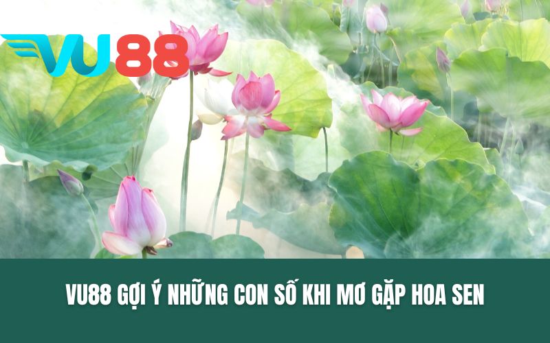 VU88 gợi ý những con số khi mơ gặp hoa sen