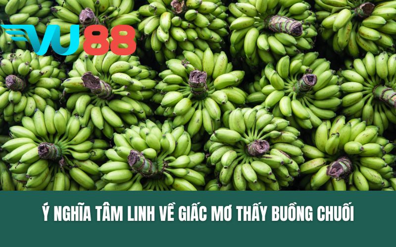 Ý nghĩa tâm linh về giấc mơ thấy buồng chuối